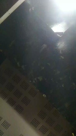 bicoponcam4  11-12-2020